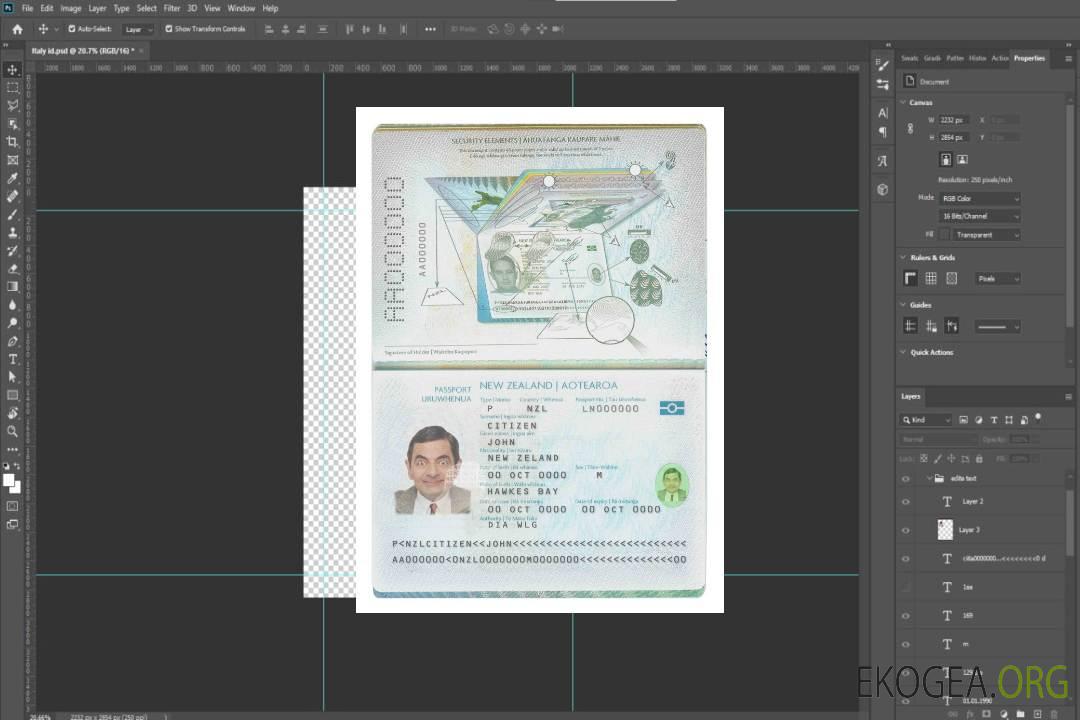 Modèle de passeport néo-zélandais au format PSD, entièrement modifiable (2009-2016) template